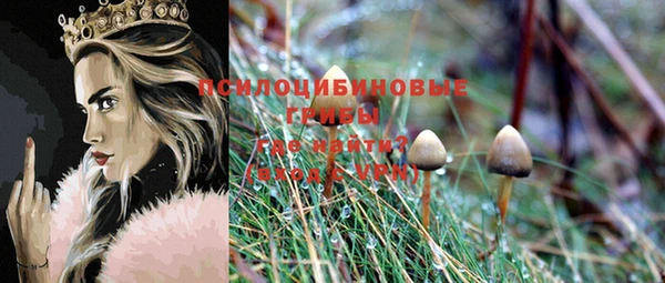 ECSTASY Абаза