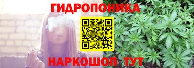ECSTASY Лесосибирск