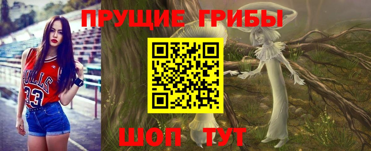 Псилоцибиновые грибы Magic Shrooms  Вход с VPN  Галлюциногенные грибы Magic Shrooms  Кисловодск 