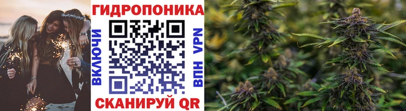 МАРИХУАНА THC 21%  Кисловодск 