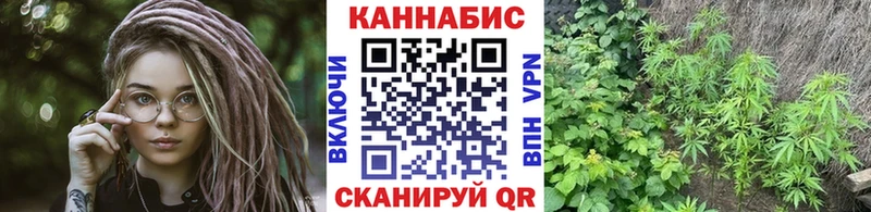 Канабис планчик Кисловодск